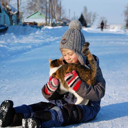 Photo #7228004