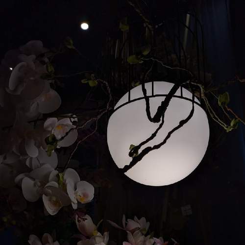 Photo #7228097