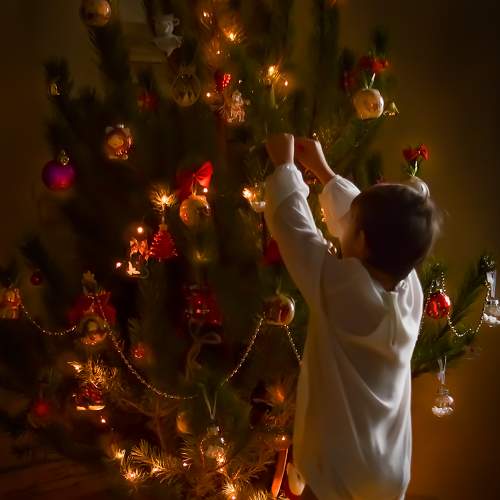 Photo #7228400