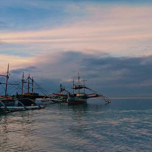 Colors in the Sea