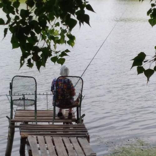 Photo #7228905