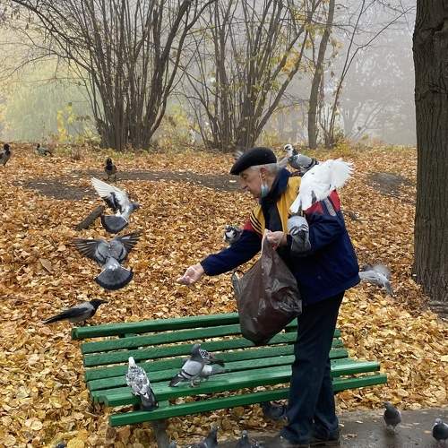 Photo #7229084