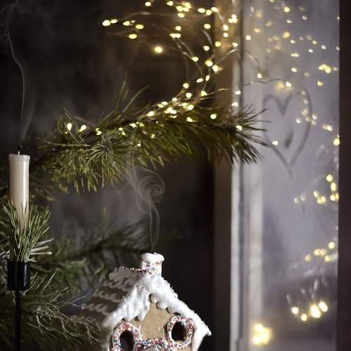 Photo #7229182