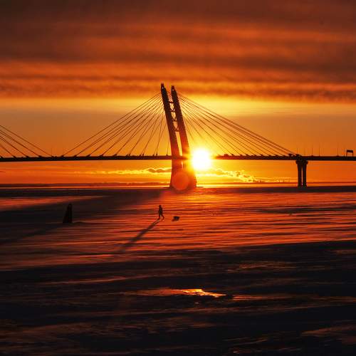 Фотография #7229221