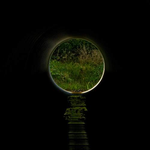 Фотография #7229223