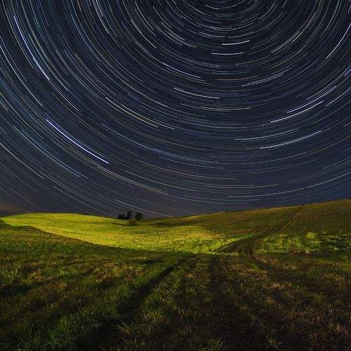 Photo #7229233