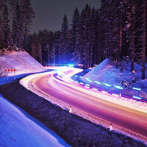 Photo #7229241