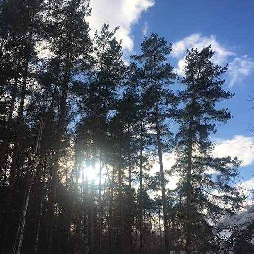 Photo #7230049