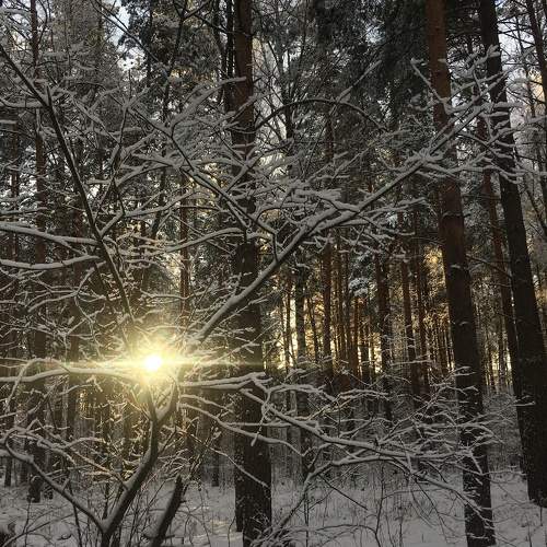 Photo #7230050