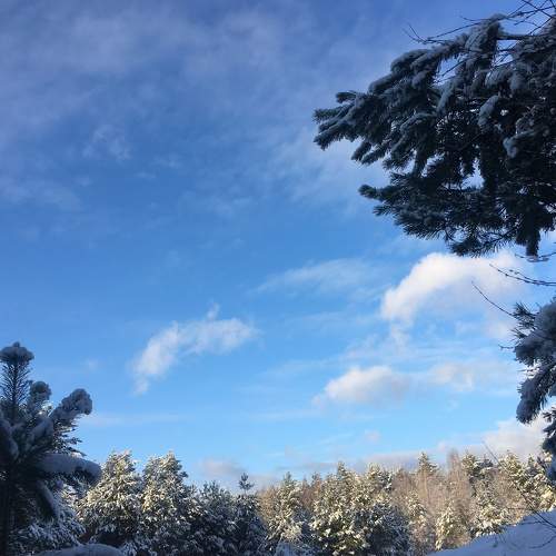 Photo #7230051