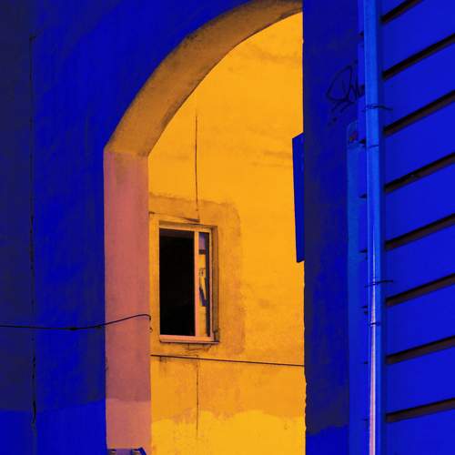 Photo #7230284