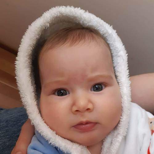 Photo #7230423