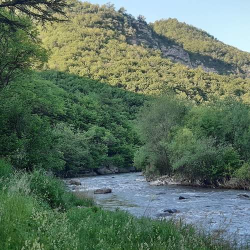 Photo #7230477