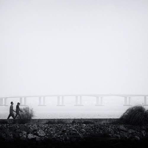 Photo #7230738