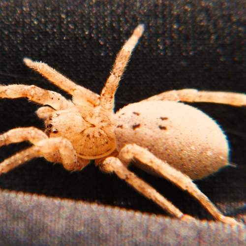 Photo #7231075