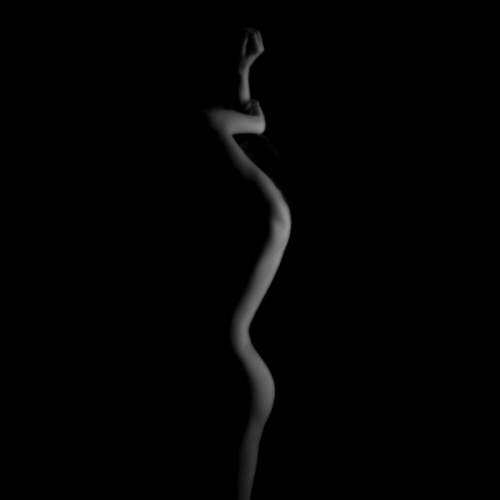 Фотография #7231291