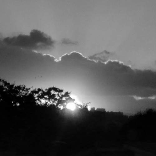 Atardecer en grises