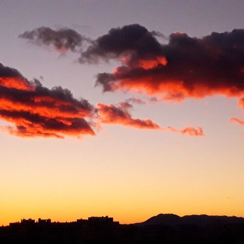 Photo #7231722