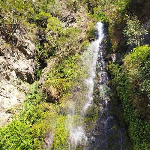 Photo #7231781