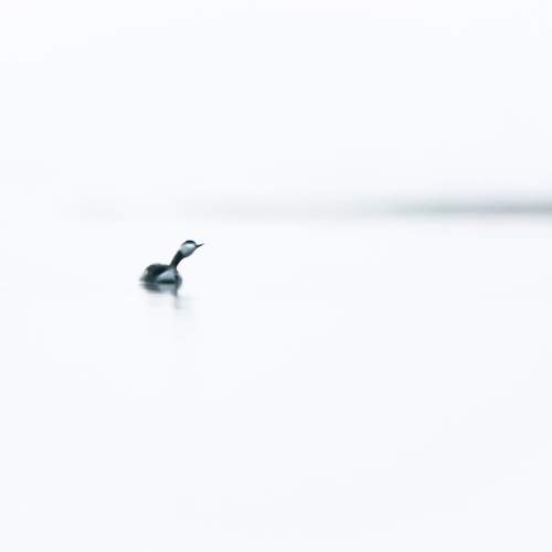 Alone