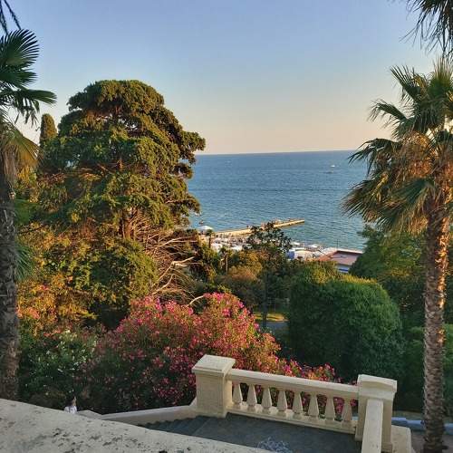 Photo #7232272