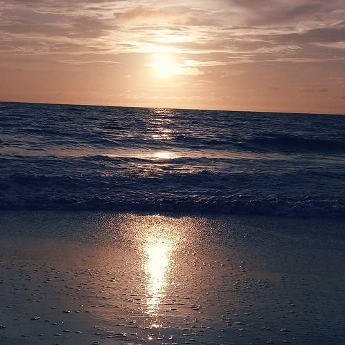 Photo #7232436