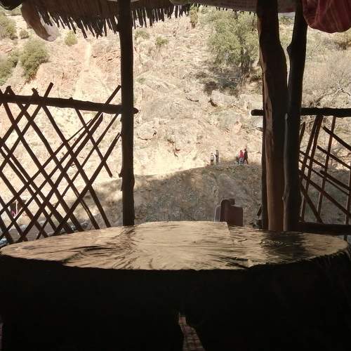 Photo #7232737