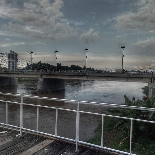 Photo #7232951