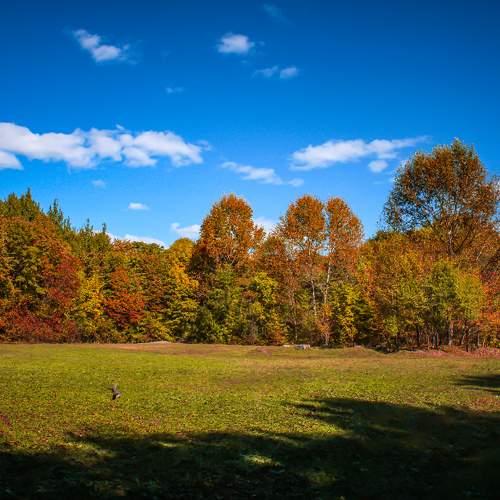 Photo #7233052