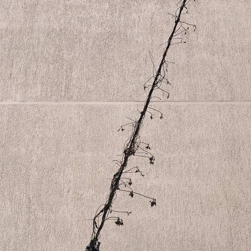 Photo #7233256