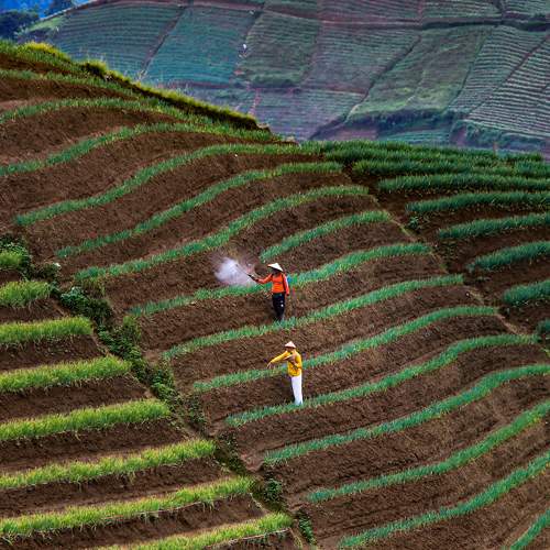 Photo #7233275