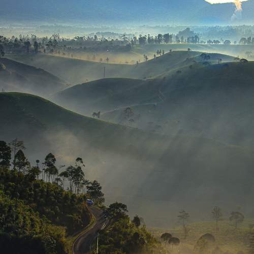 Photo #7233312