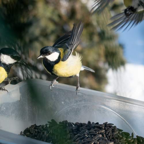 Photo #7233894