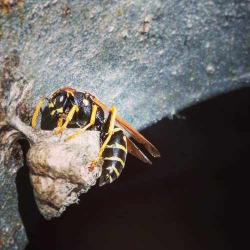 Photo #7233955