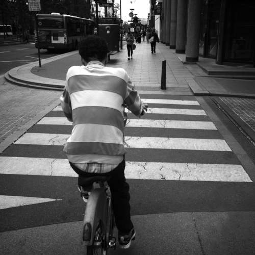 Photo #7233964