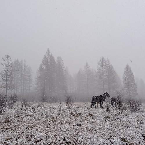 Photo #7234357