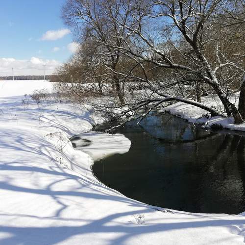 Photo #7234599