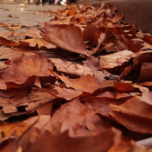 Photo #7234616