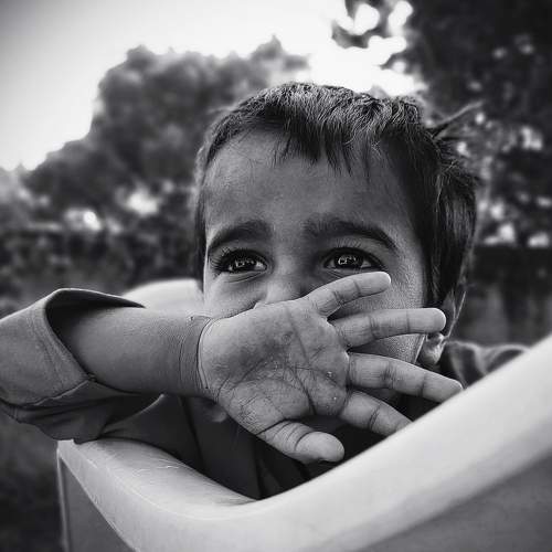Photo #7234918