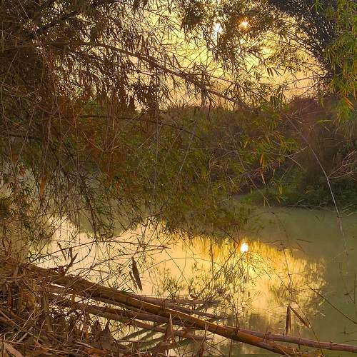 Photo #7235021