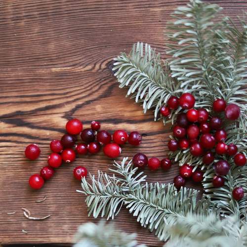 Photo #7235239