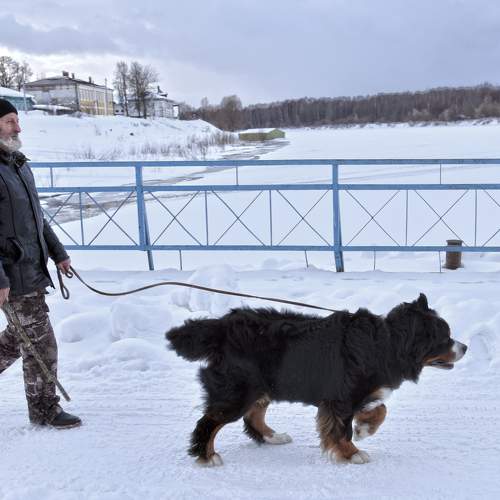 Photo #7235266