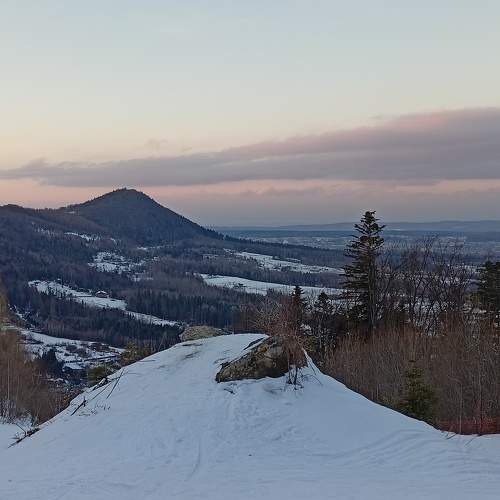 Photo #7235530
