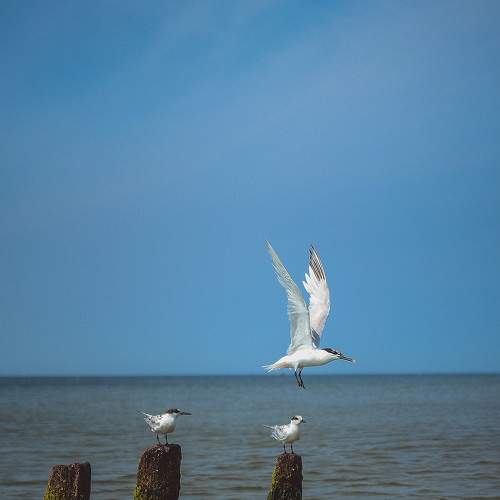 Photo #7235604
