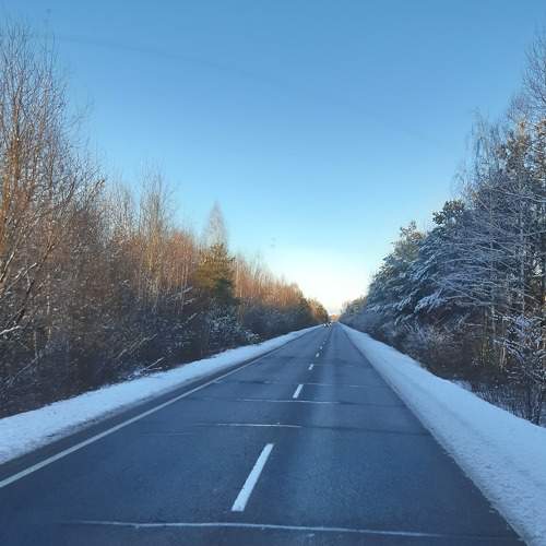 Photo #7235798