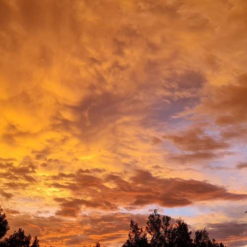 Photo #7235899