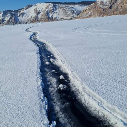 Photo #7236024