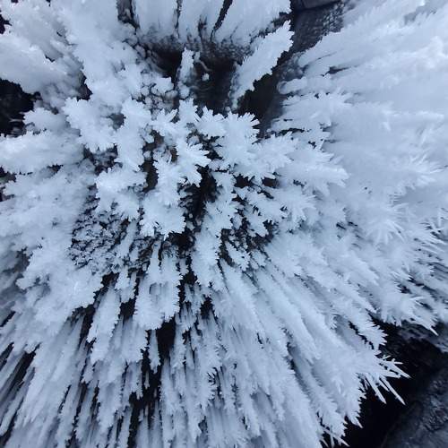 Photo #7236034