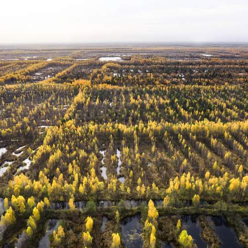 Photo #7236103