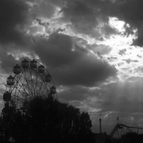 Photo #7236634